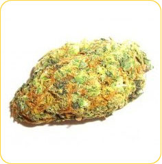 Acapulco Gold