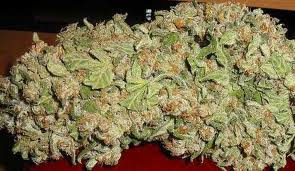 AK-48