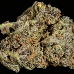 Grape Skunk