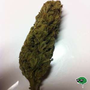 Green Queen