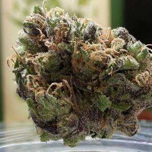 Headband