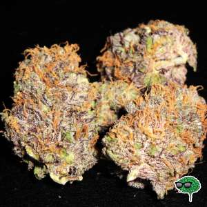 Platinum Purple Kush